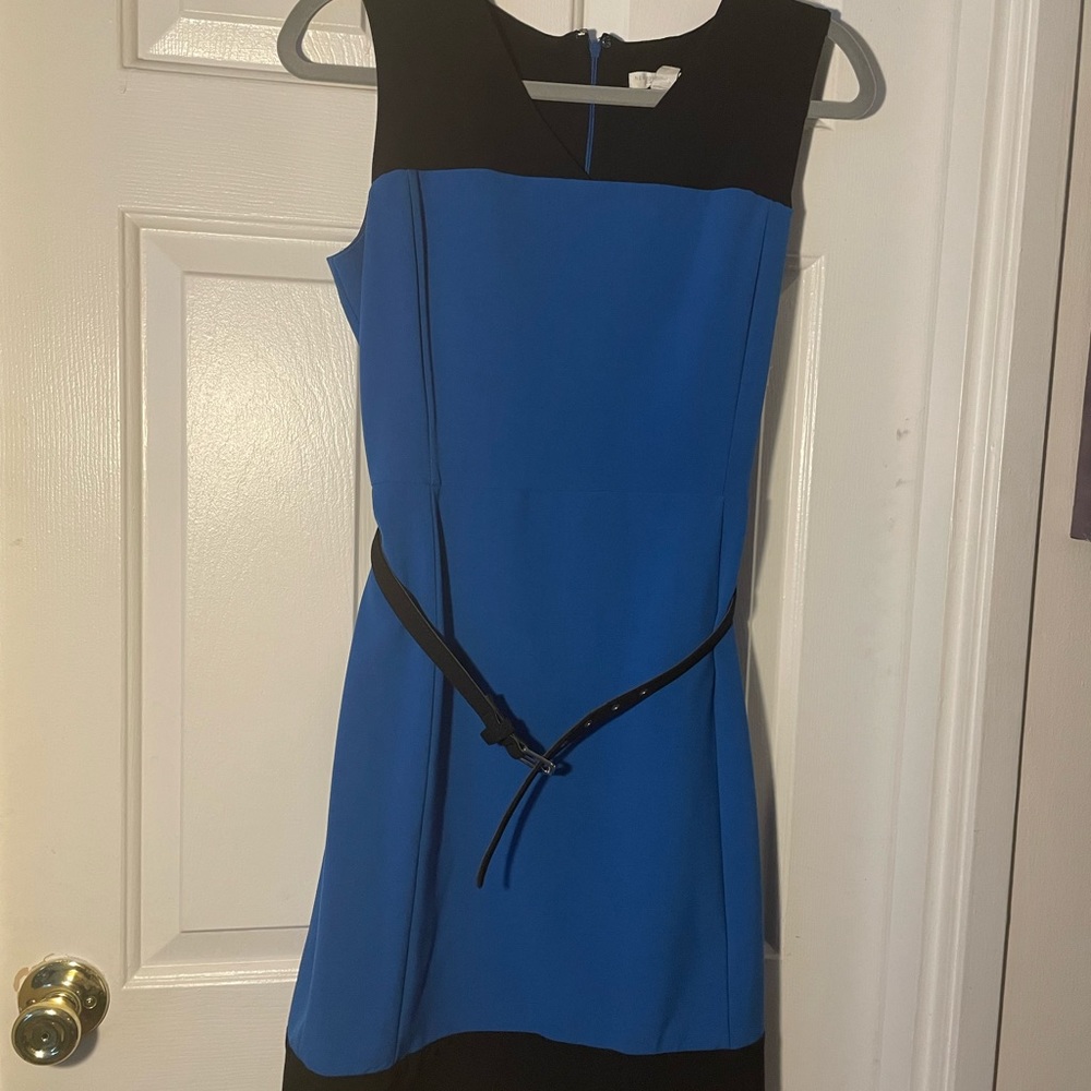 Professional Dress